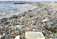 สิ่งแวดล้อมรอบตัว: ขยะทะเล วาระของโลก