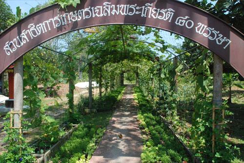 ศาสตร์แห่งพระราชา สู่การพัฒนาอย่างยั่งยืน