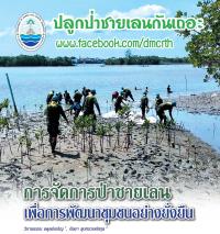 การจัดการป่าชายเลนเพื่อการพัฒนาชุมชนอย่างยั่งยืน