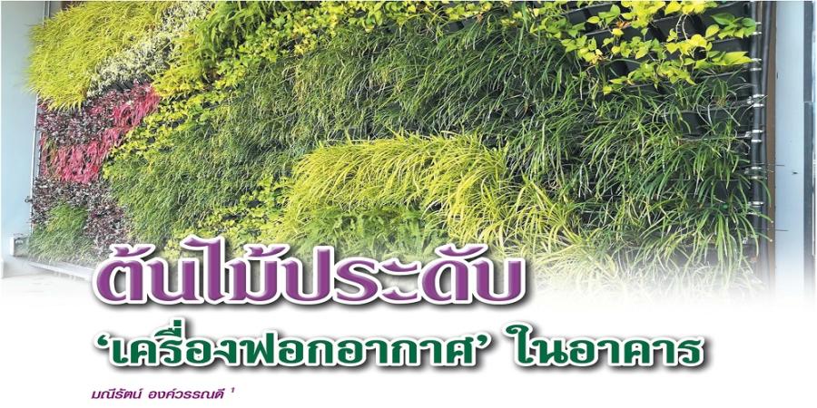 ต้นไม้ประดับ "เครื่องฟอกอากาศ" ในอาคาร