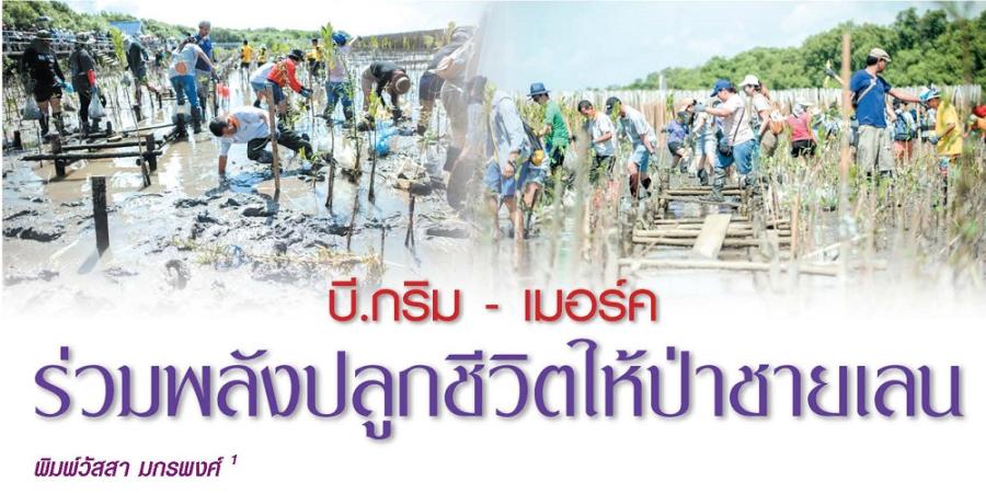 บี.กริม-เมอร์ค ร่วมพลังปลูกชีวิตให้ป่าชายเลน