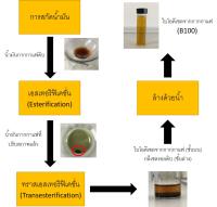 บทความ: กากกาแฟ จากแก้วกาแฟสู่แนวคิดเศรษฐกิจหมุนเวียนสำหรับผลิตภัณฑ์ชีวภาพ