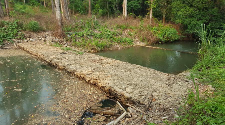 สถานการณ์การปนเปื้อนตะกั่วในสิ่งแวดล้อมบริเวณลำห้วยคลิตี้