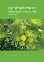 สบู่ดำ สารฟอร์บอลเอสเทอร์กับคุณประโยชน์ที่มากกว่าพลังงานทดแทน