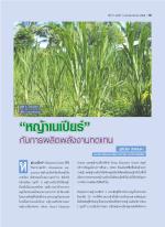 "หญ้าเนเปียร์" กับการผลิตพลังงานทดแทน