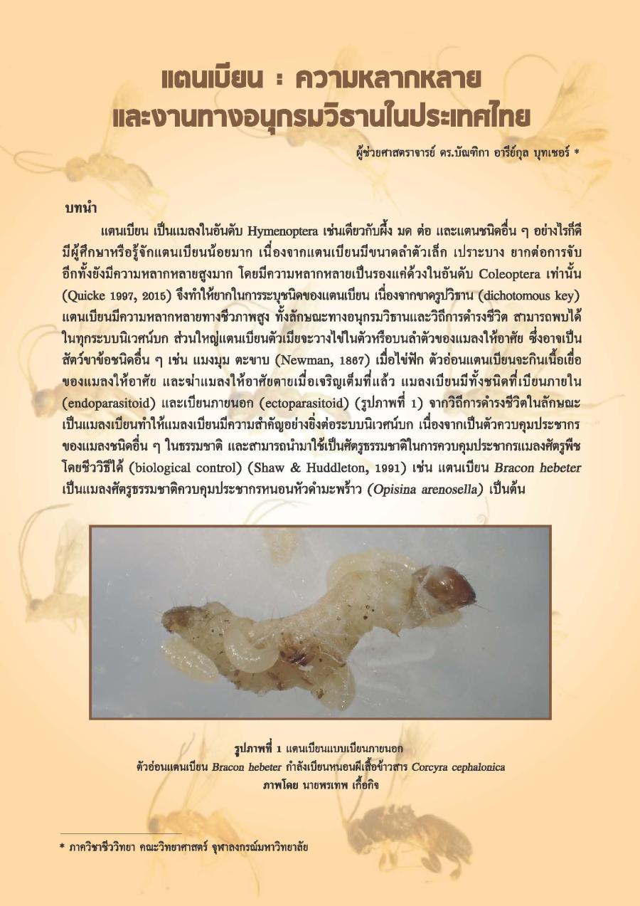 แตนเบียน : ความหลากหลายและงานทางอนุกรมวิธานในประเทศไทย