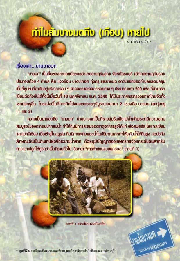 ทำไมส้มบางมดถึง (เกือบ) หายไป