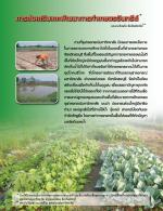 การส่งเสริมและพัฒนาการทำเกษตรอินทรีย์