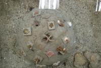 รูปแบบและผลสำเร็จการฟื้นฟูปะการังด้วย “โดมปะการัง” โดยการมีส่วนร่วมของชุมชนเกาะสีชัง-เกาะขามใหญ่ จังหวัดชลบุรี (Khamyai Island Community Coral Rehabilitation by “Coral Dome”)