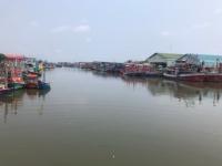 บทความ: แนวทางการศึกษาผลกระทบของภัยแล้งต่อระบบนิเวศทางน้ำ