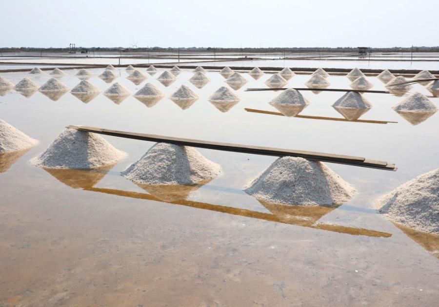 บทความ: ไมโครพลาสติกในเกลือสมุทรในตลาดโลก และผลการสำรวจเกลือสมุทรในจังหวัดสมุทรสาคร