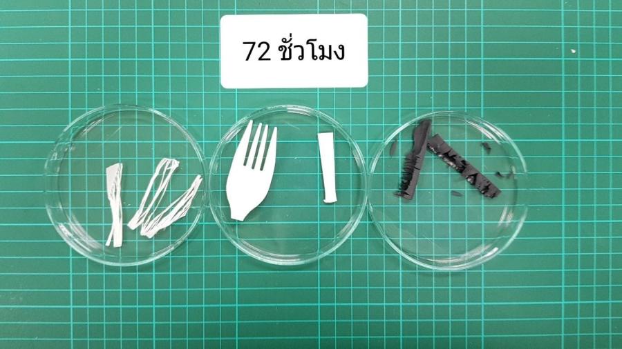 บทความ: ความท้าทายในการควบคุมการผลิตและใช้พลาสติกที่เติมสารอ๊อกโซ่ (Oxo-degradable/Oxo-biodegradable plastics)