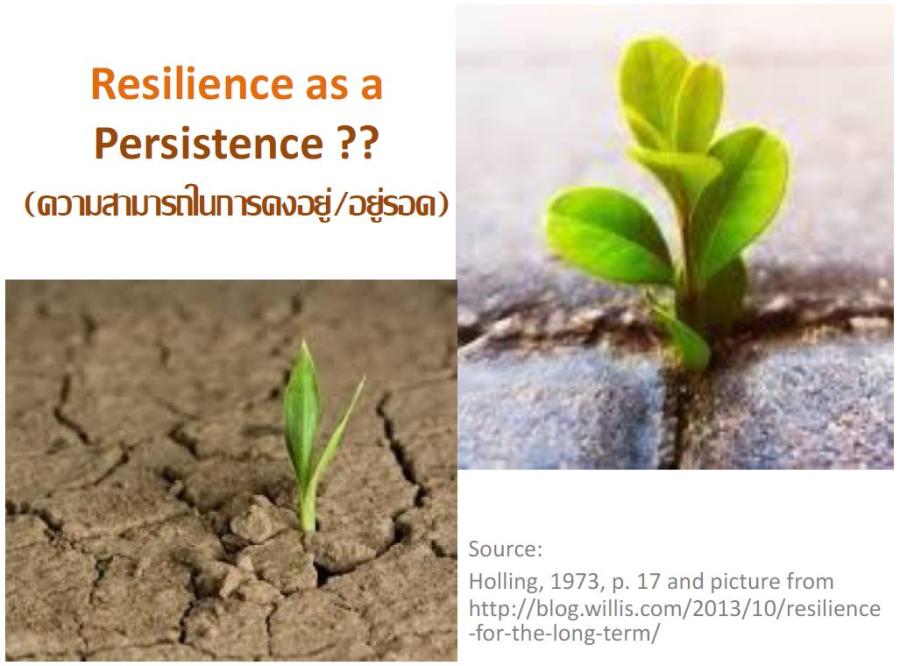 บทความ: การ รู้-รับ-ปรับ-ฟื้นของชุมชนจากการเปลี่ยนแปลงสภาพภูมิอากาศและภัยพิบัติ