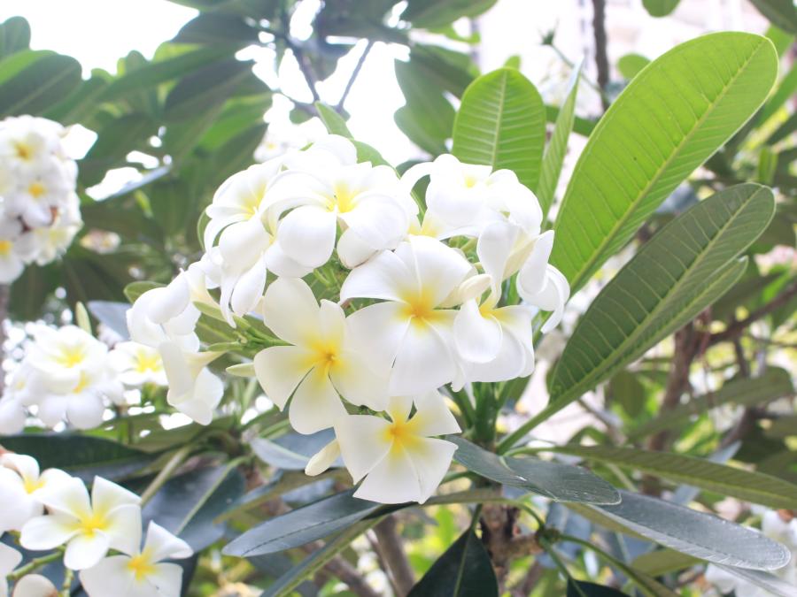 อนาคตของการพัฒนาที่มีคนเป็นศูนย์กลาง - การเมืองแบบเดิมนำพาเราก้าวล้ำเส้นอันตรายแห่งพิภพไปแล้ว