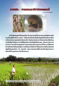 ซาปอนิน : สารธรรมชาติกำจัดหอยเชอรี่