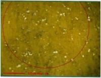 บทความ: ทดสอบกากของเสียปรอทจากเปลือกอะมัลกัมที่ใช้งานแล้ว (Experimental Study of Mercury Waste from Disposable Amalgam Capsule)