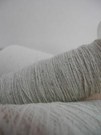 บทความ: “เฮมพ์” นวัตกรรมเพื่อการพัฒนาชุมชนและสิ่งแวดล้อมอย่างพอเพียงและยั่งยืน