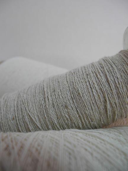 บทความ: “เฮมพ์” นวัตกรรมเพื่อการพัฒนาชุมชนและสิ่งแวดล้อมอย่างพอเพียงและยั่งยืน