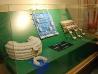 ปฏิบัติการ "WAJU" หนีน้ำท่วม