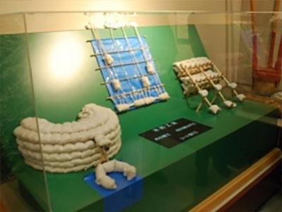 ปฏิบัติการ "WAJU" หนีน้ำท่วม