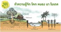 บทความ: นวัตกรรมสู้ภัยแล้ง - ตัวอย่างทางเลือกและทางรอดสำหรับเกษตรกรไทย