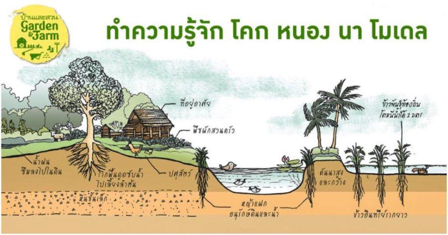นวัตกรรมสู้ภัยแล้ง - ตัวอย่างทางเลือกและทางรอดสำหรับเกษตรกรไทย