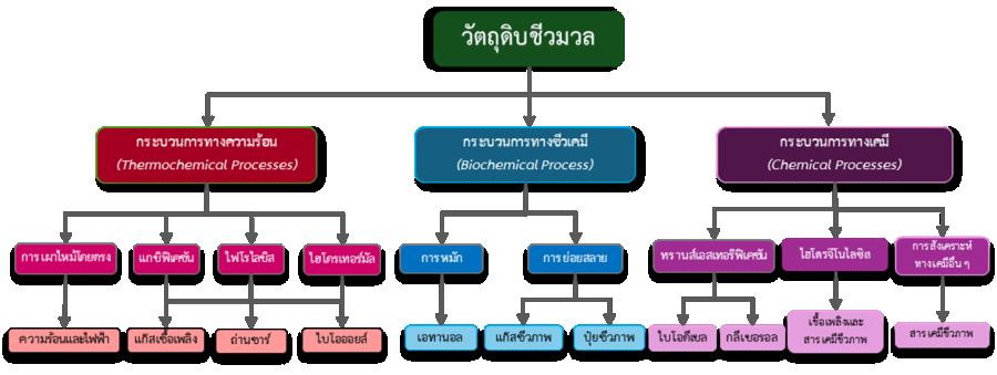 พลังงานชีวภาพและสารเคมีชีวภาพของไทย: โอกาสและความท้าทายสู่เป้าหมายการพัฒนาที่ยั่งยืน